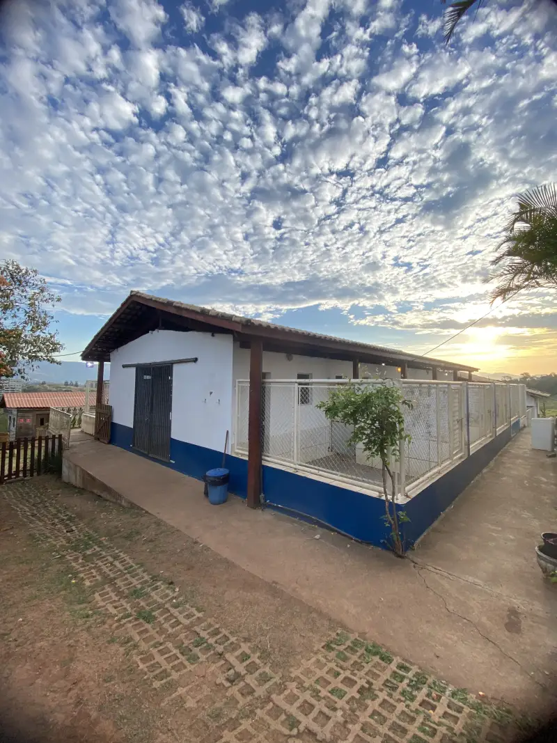 Fachada externa do bloco de canis individuais da Dogs 4ever, com baias teladas e telhado de telha